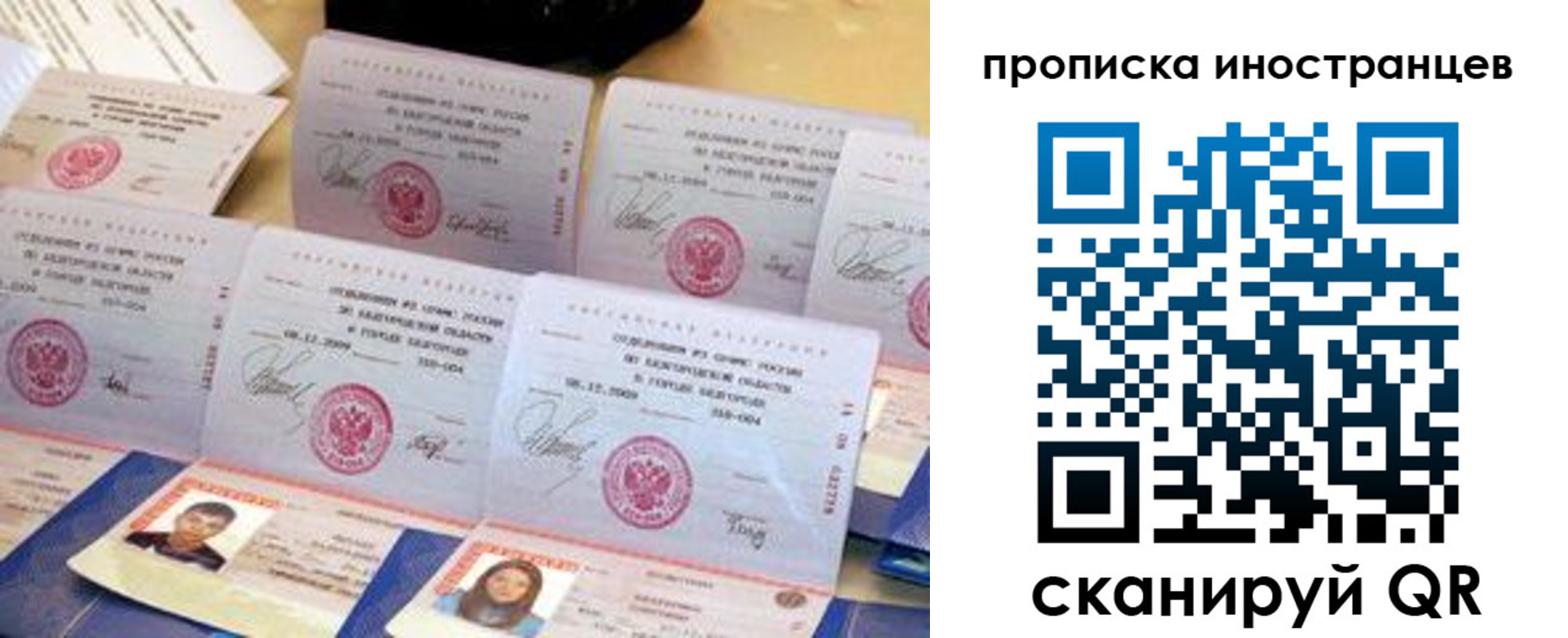 прописка для школы в Курской области